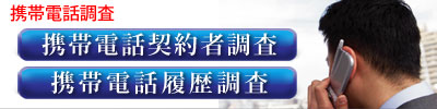 携帯電話調査