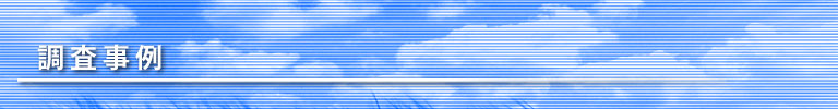 調査事例