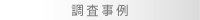 調査事例