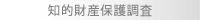 知的財産保護調査
