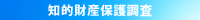 知的財産保護調査